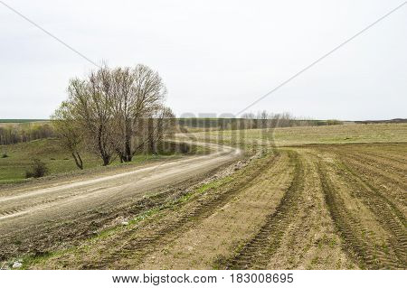 Fertilized cultivated field, fertilized green lentil field, fertilizer and agriculture