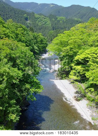 amazing natural view of mountain river surrounded by green forest at TAMAKAWA TOKYO JAPAN