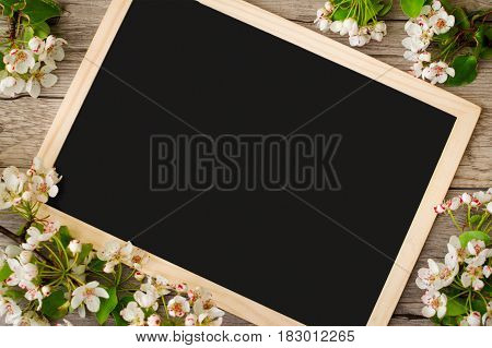 A wonderful branch of a blossoming pear tree with a copy space on a black blackboard. Delicate flowering and the heady scent of spring on a gray background.