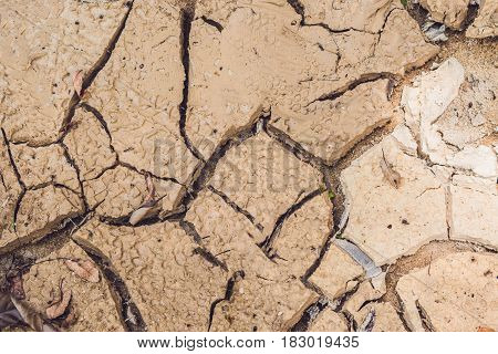 Dry Cracked Earth. The Desert. Background. It's Hot, The Global Shortage Of Water On The Planet