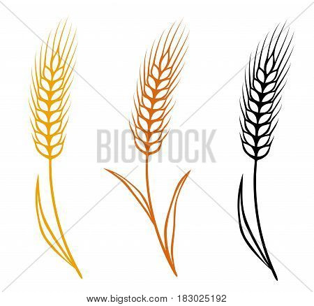 colorful isolated hand drawn wheat ears set