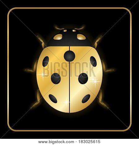 Ladybug Gold Insect Small Icon