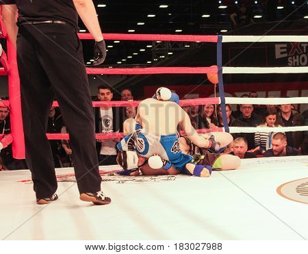 St. Petersburg Russia - 15 April, Struggle in the pit.,15 April, 2017.
International Motor Show IMIS-2017 in Expoforurum.
Fights without rules in the room in the ring.