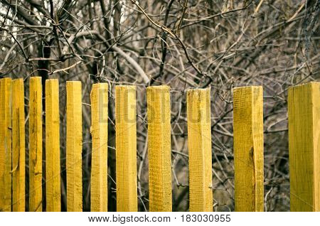 Yellow wooden fence in the countryside garden yard. Village background concept. Tree behind the fence.