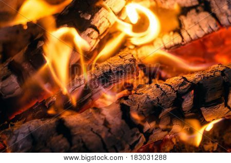 Burning fire background. Fire and embers close up background.