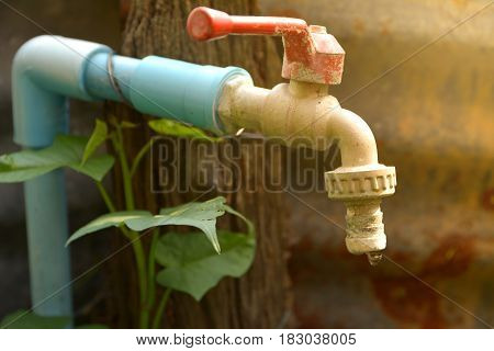 Water tap with water drop with green leave on rusty zinc sheets.