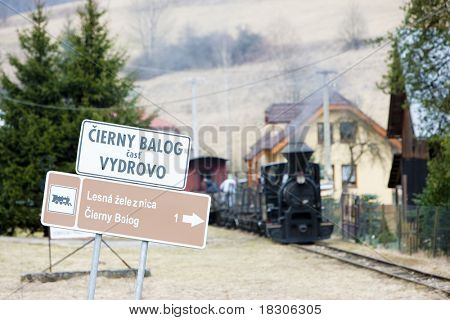 Stoomtrein, Ciernohronska Railway, Slowakije