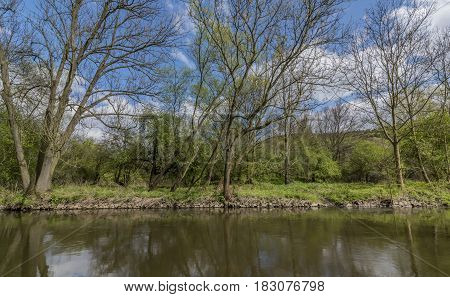 River Bilina near Stadice village in spring sunny day