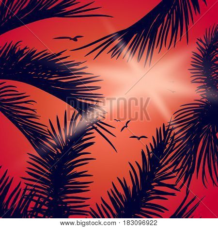 Summer tropical backgrounds set with palms, sky and sunset