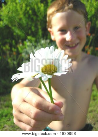 Een jongen weergegeven: A Daisy