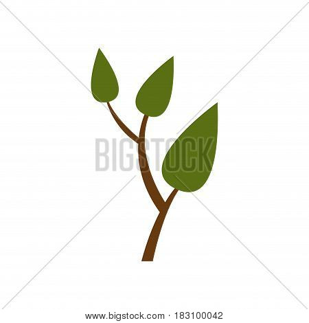 colorful silhouette of small tree with leaves and ramifications vector illustration