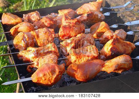 Chargrilled Meat Fillet On Metal Skewers