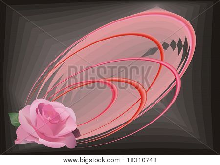 rosa Rose auf einem schwarzen Hintergrund
