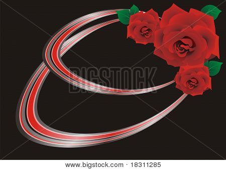 rote Rose auf einem schwarzen Hintergrund