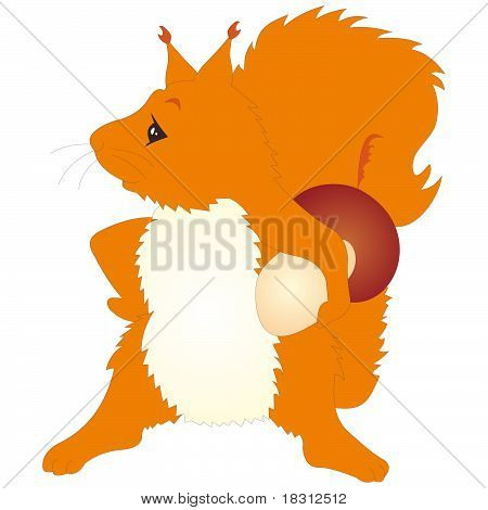 squirrel vector