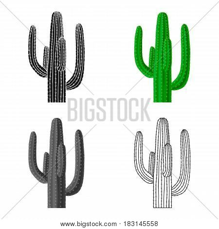 Mexican cactus icon in cartoon style isolated on white background. Mexico country symbol vector illustration.