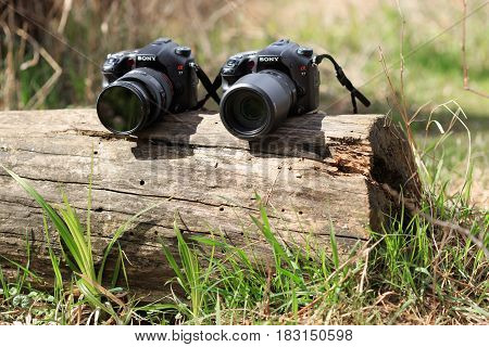 Gomel, Belarus - 12 April 2017: Sony Cameras Are Lying On A Log. Ready To Shoot