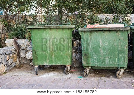 City trash cans. Green overfilled trash dumpster