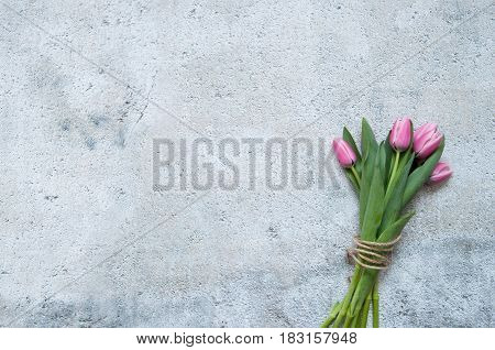Pink tulips on shabby chique background with space for text