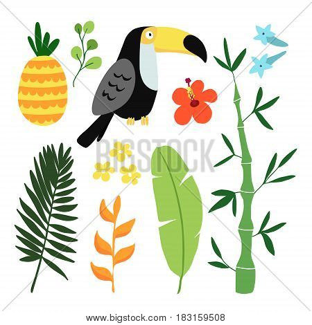 Summer tropical graphic elements. Toucan bird. Jungle floral illustrations, palm leaves, pineapple and hibiscus flowers. Isolated illustrations, flat design, stock vector.
