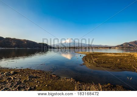 Mountain Fuji And Lake Kawaguchiko With Yellow Grass