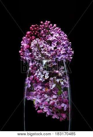 Picturesque bouquet of purple lilac in a glass vase on a black background