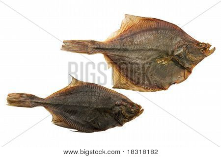 Pesce essiccato