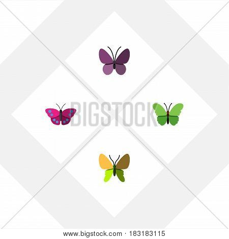 Flat Monarch Set Of Violet Wing, Archippus, Milkweed And Other Vector Objects. Also Includes Monarch, Insect, Butterfly Elements.
