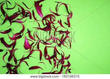 Repeatable petals in red on a green background