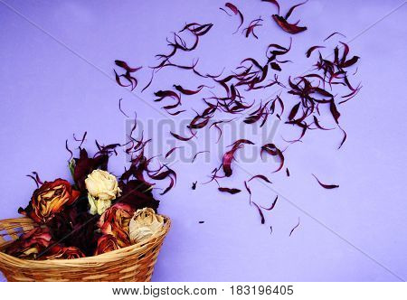 Soft Сomposition with basket, roses and petals
