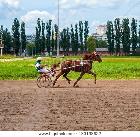 horse racing of galloping horses legs on hippodrome track