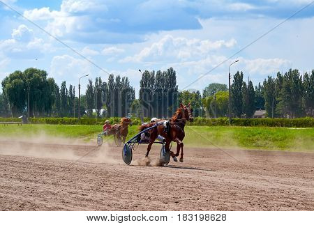 horse racing of galloping horses legs on hippodrome track