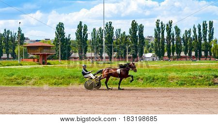 horse racing of galloping horses legs on hippodrome track