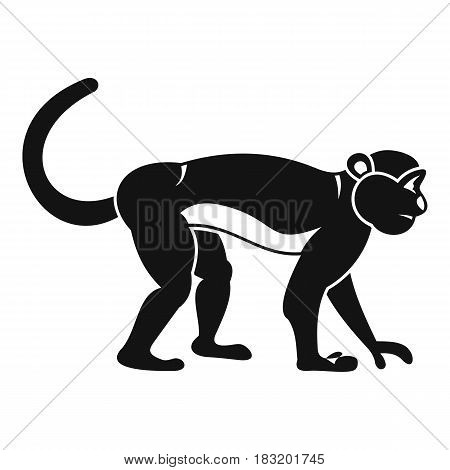 Macaque icon. Simple illustration of macaque vector icon for web