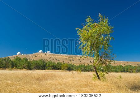 Autumnal landscape with lonely birch from Ai-Petri mountain tableland in Crimea Ukraine.