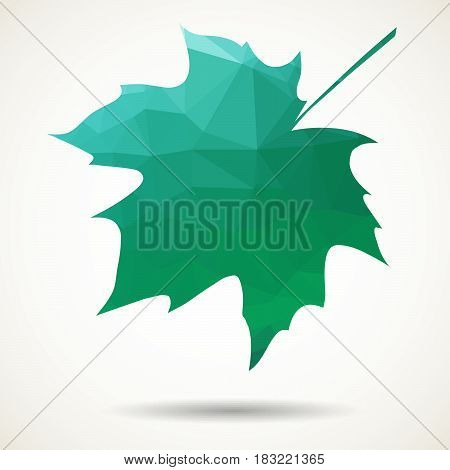 Maole leaf in triangular style with dropped shadow.
