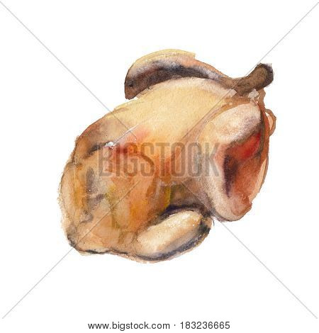 The roasted chicken isolated on white background watercolor illustration in hand-drawn style.