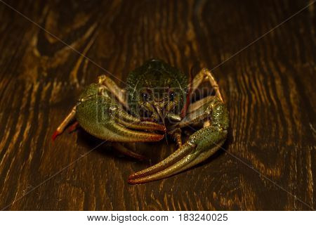 Live Crawfish On A Wooden Board
