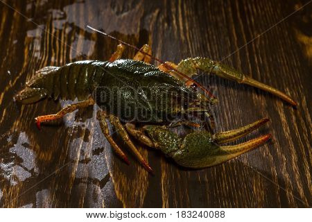 Live Crawfish On A Wooden Board