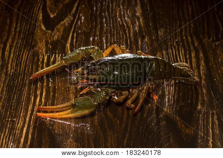Live Crawfish On A Wooden Board