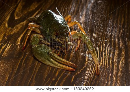 Live Crawfish On A Wooden Board