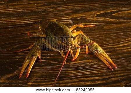 Live Crawfish On A Wooden Board