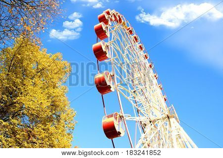 A colorful ferris wheel in amusement park. Autumn park.