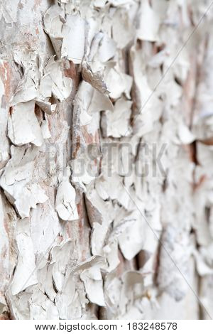 vintage background texture old masonry stone bricks on the ancient cement with cracks