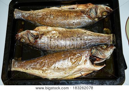 Baked Dorado fish on oven trayBaked dorado fish in the oven tray, three fish.