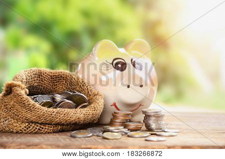 Coins in sack and piggy bank for money saving financial concept