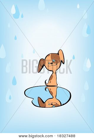 cucciolo marrone sotto la pioggia.
