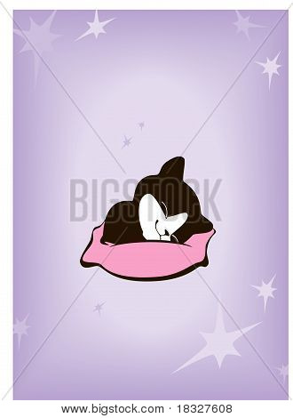 Gattino che dorme su un cuscino