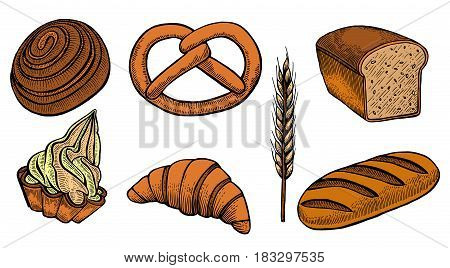 Set bread products, pastries vector on a white background, sliced loaf, French baguette, rye bread, wheat branch, cutting cakes, croissants, colored sketch style hand-drawn, bakery products, rooty