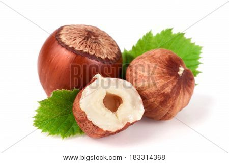 Hazelnuts with leaves isolated on white background.